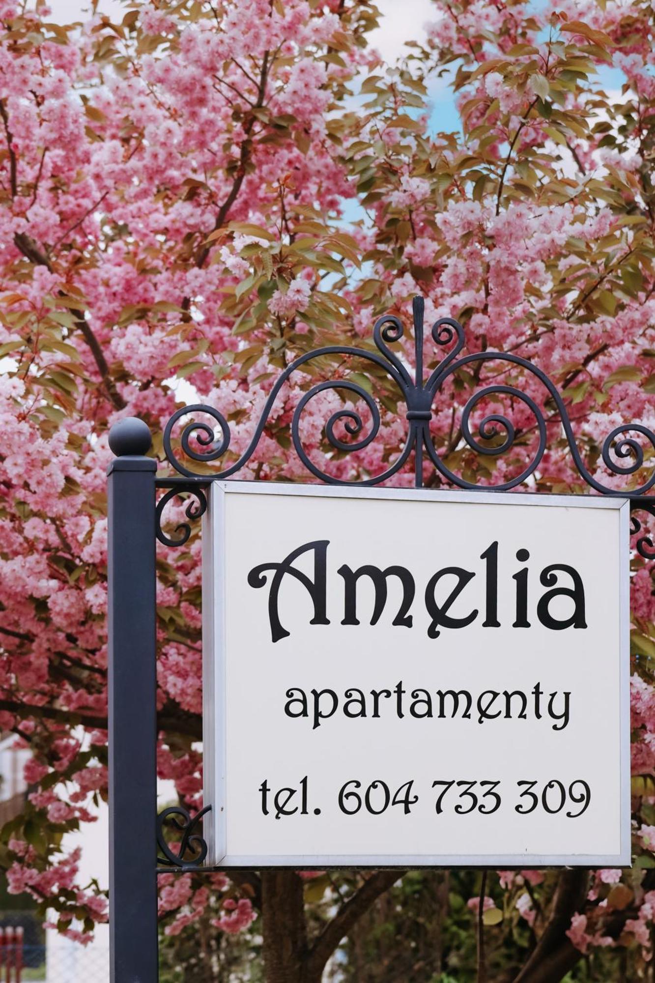 Amelia Apartamenty - Sala Zabaw, 2 Sypialnie, Garaz Podziemny Władysławowo Kültér fotó